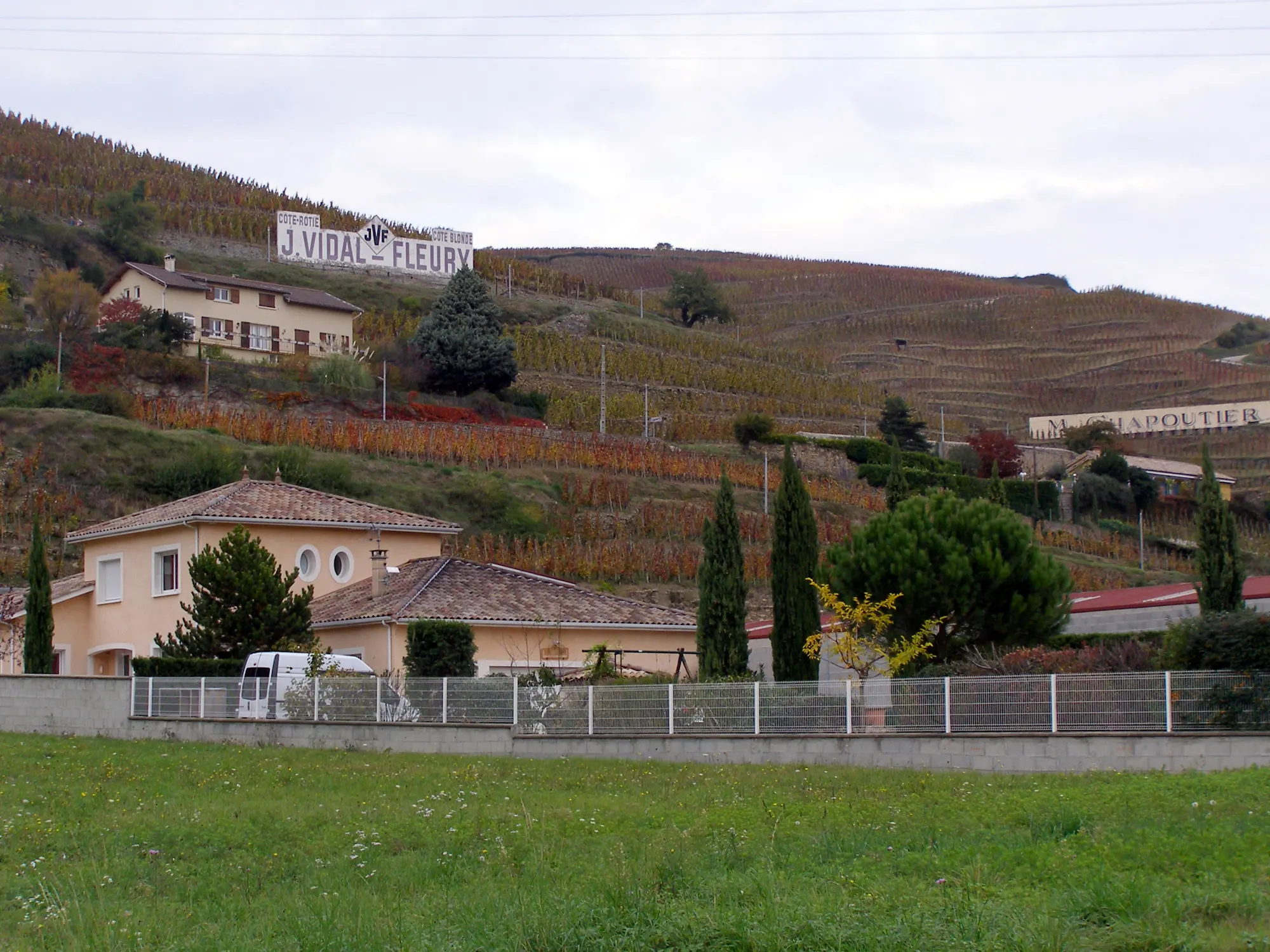 Les parcelles en terrasses du vignoble de la Côte-Rôtie à Ampuis